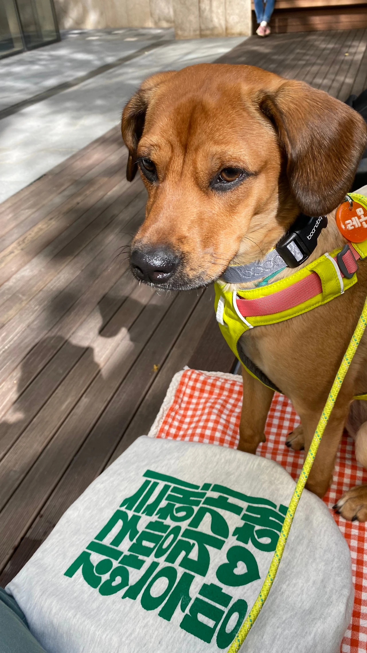 2022년 기후위기 행진에서.jpeg