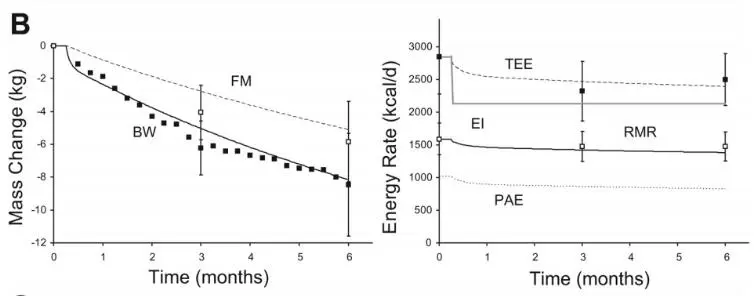 2020-10-20 11;38;59.JPEG