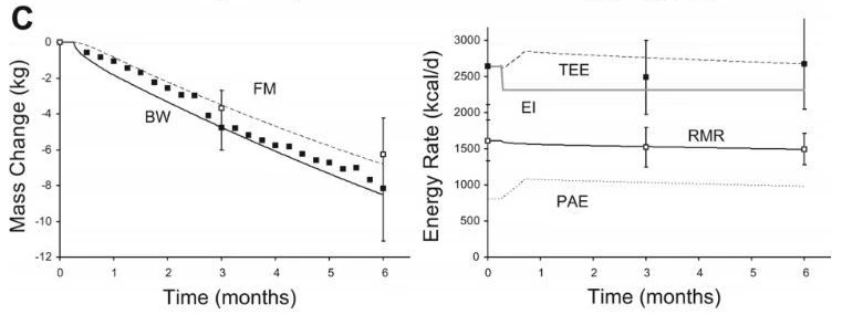 2020-10-20 11;39;15.JPEG