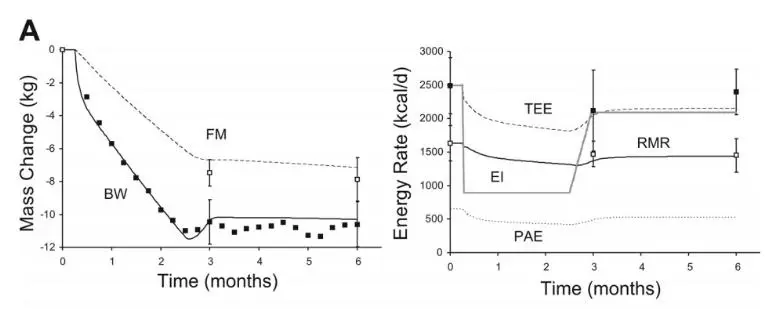 2020-10-20 11;38;42.JPEG