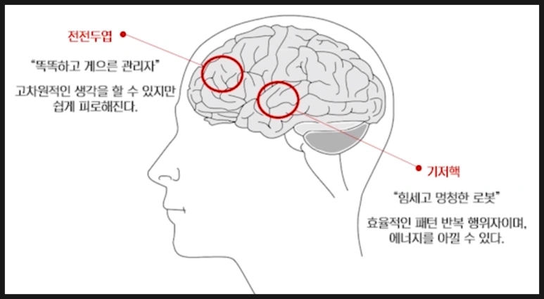 SE-f2b926f1-47ca-4ca3-86e5-ec8a280e343f.png?type=w773