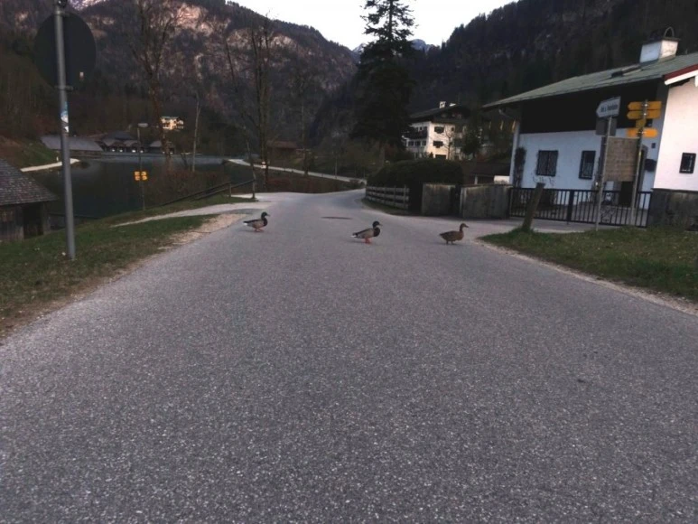 1523274361900.jpg?type=w773