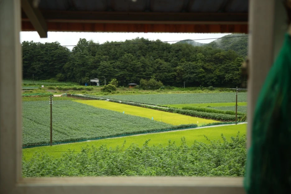 PN4A8351.JPG?type=w1