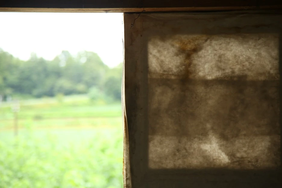 PN4A8312.JPG?type=w1