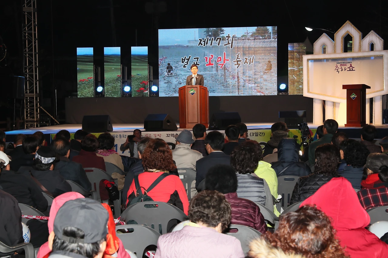 2.보성군,제17회벌교꼬막축제성료 (2).JPG