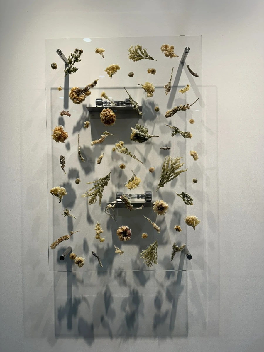 IMG_1610.jpg?type=w1