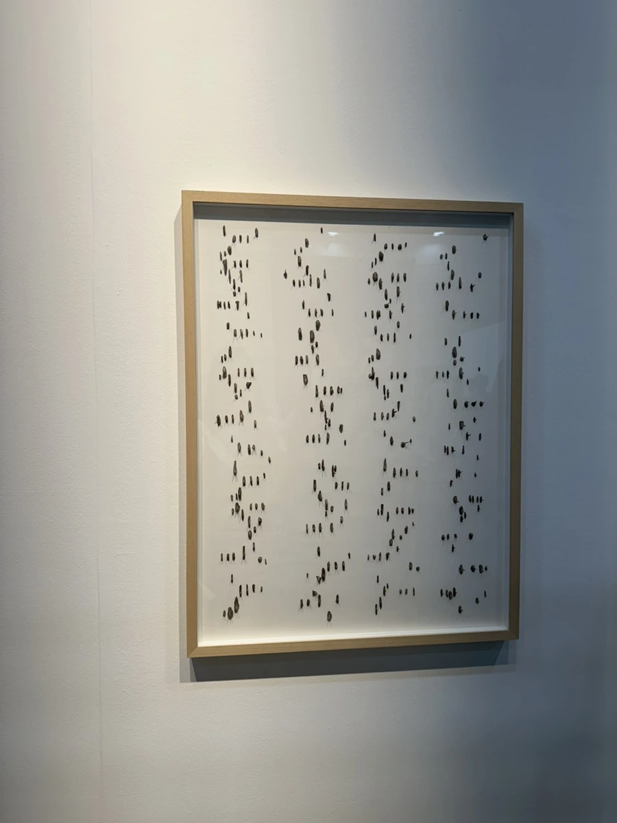 IMG_1490.jpg?type=w1