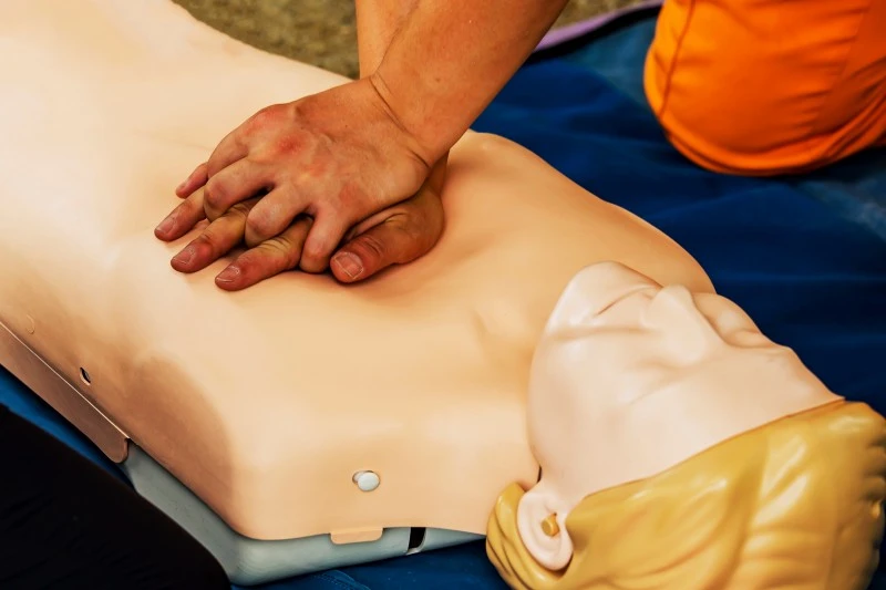 20374609.jpg?type=w800