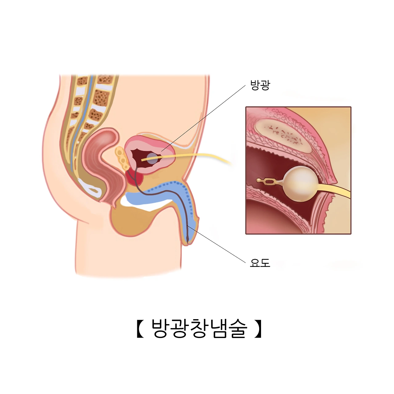 imageView.do?fileId=F000000039627_VawxsH