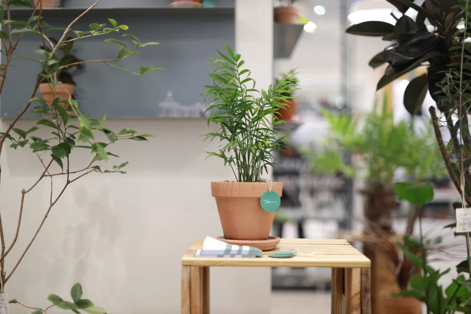 3N4A9682.JPG?type=w966