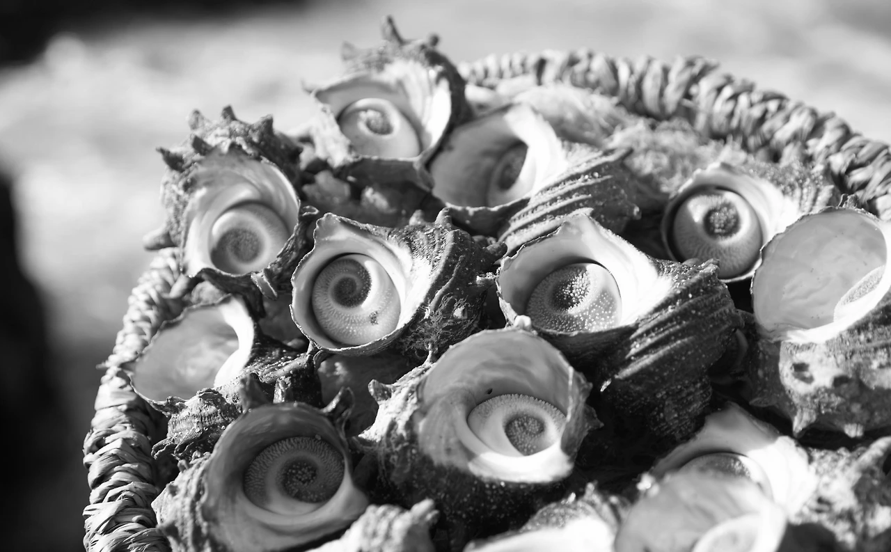 IMarUpISavUvMHrdq3CmIQV1ge-ff6Bd55YEv_dfvE_USqck3cie33_5izx0dGLuFeJY1zQIYtELm84isrvNoKlOy8BnVrReXivadDJVsQDwxCTsi2xYHdYH8NdKvU8NnzwVzThhJh0J6LrzsfUWeYTX5nkuaFN5o9djHBd82G4_4d2tGqA0f47_pxpStA