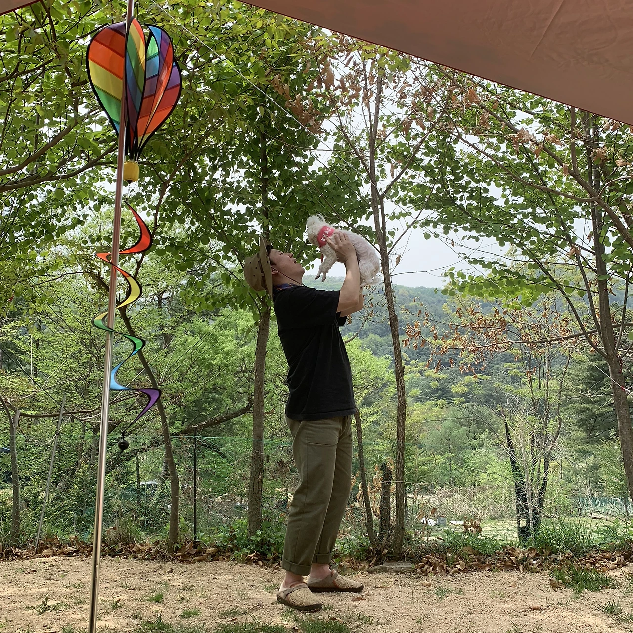 콩 깍지 A컷 (4).JPG