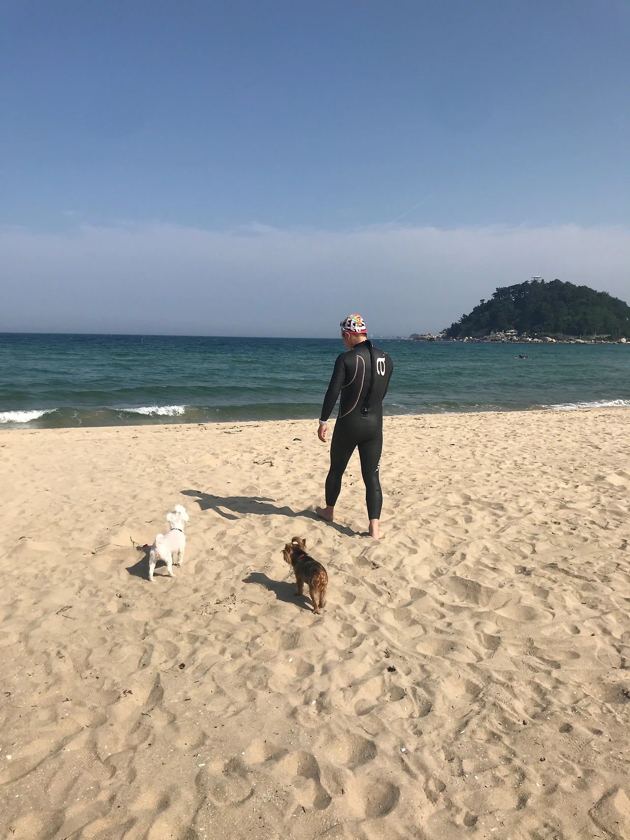 콩 깍지 A컷 (1).JPG