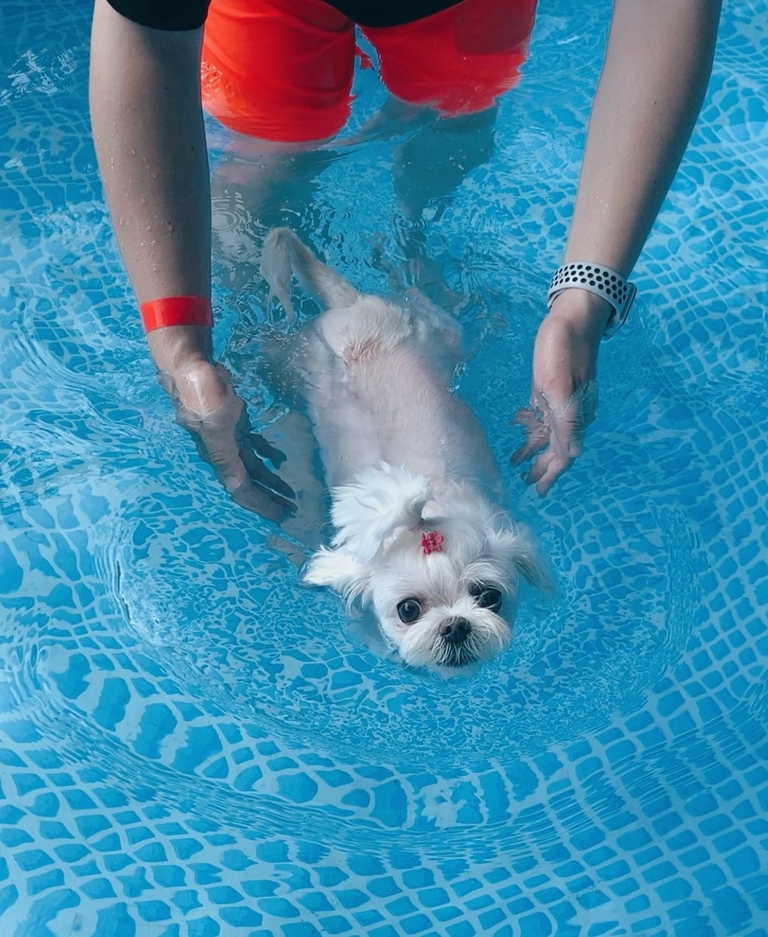 콩 깍지 A컷 (5).JPG