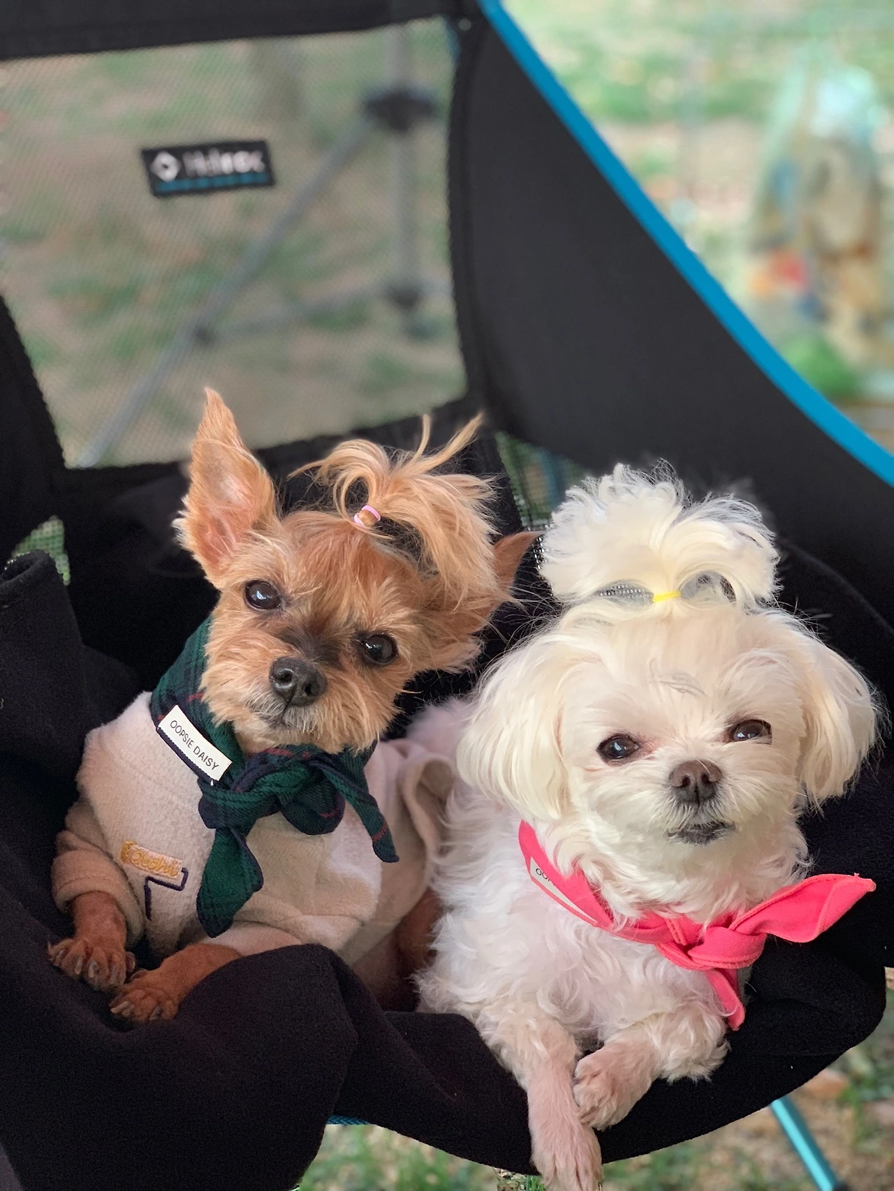 콩 깍지 A컷 (3).JPG