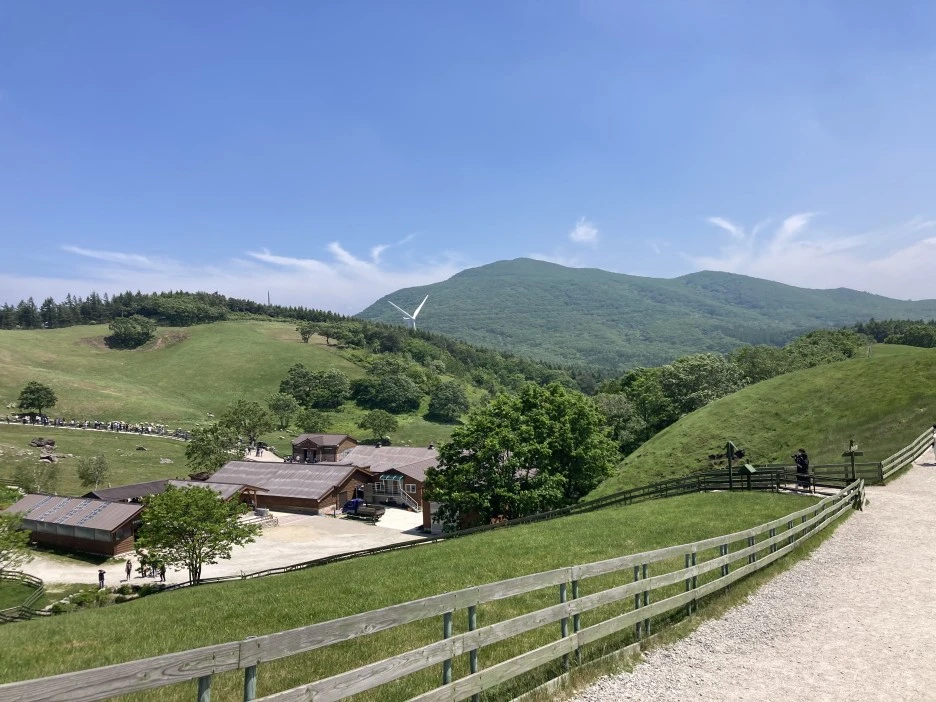 KakaoTalk_20210605_154828627.jpg?type=w1