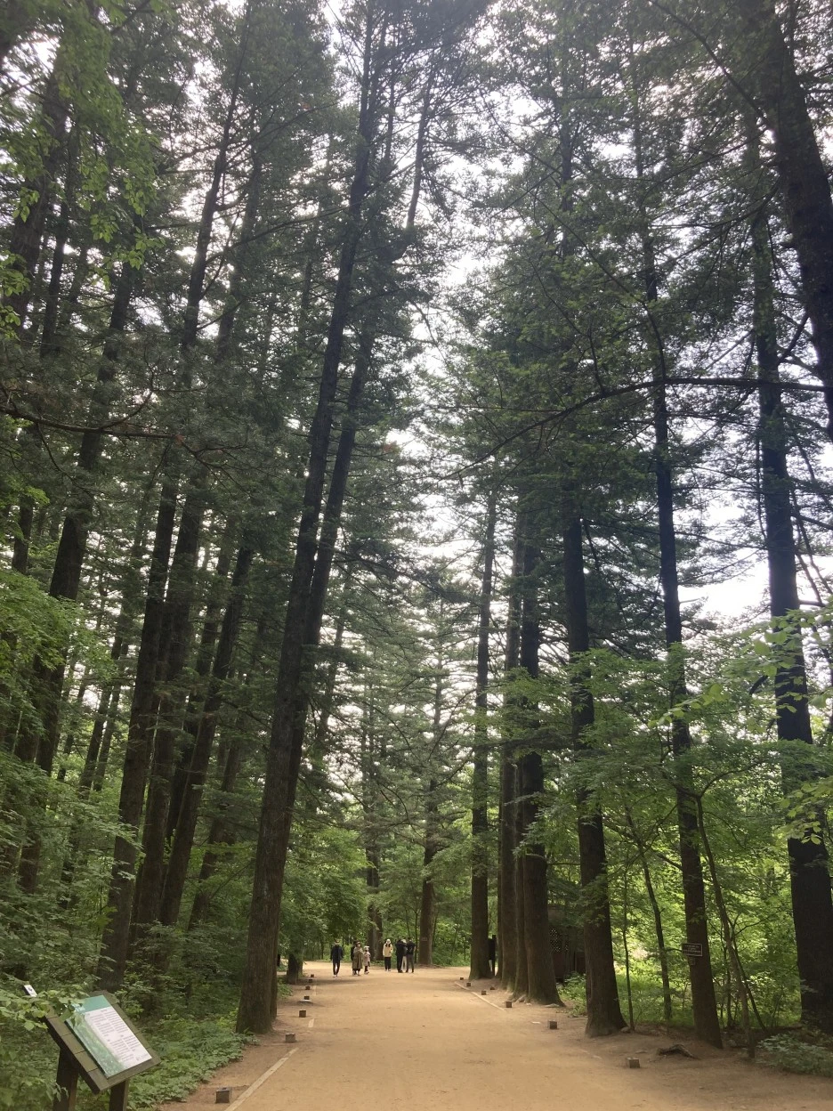 KakaoTalk_20210605_154811065.jpg?type=w1