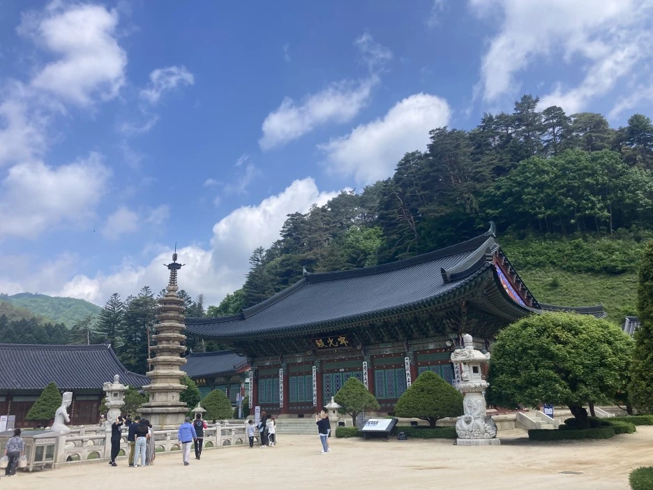 KakaoTalk_20210605_154757273.jpg?type=w1