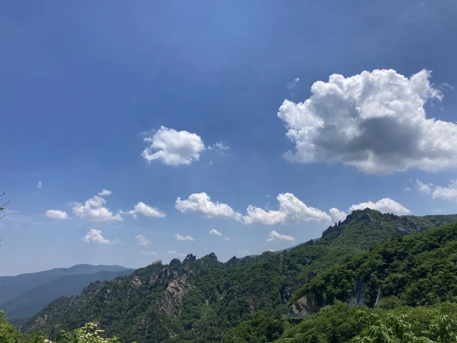 KakaoTalk_20210606_194602847.jpg?type=w1