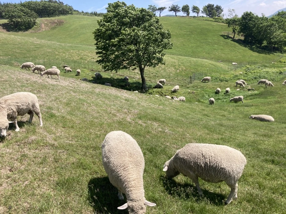 KakaoTalk_20210605_154926443.jpg?type=w1