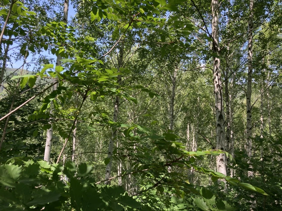 KakaoTalk_20210606_194619316.jpg?type=w1