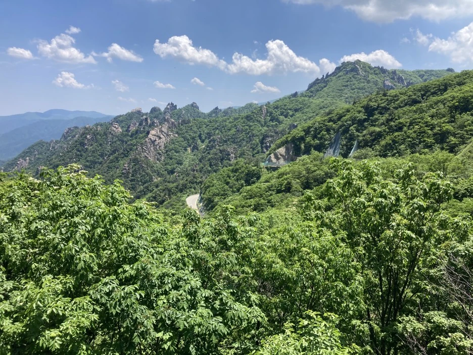 KakaoTalk_20210606_194602388.jpg?type=w1