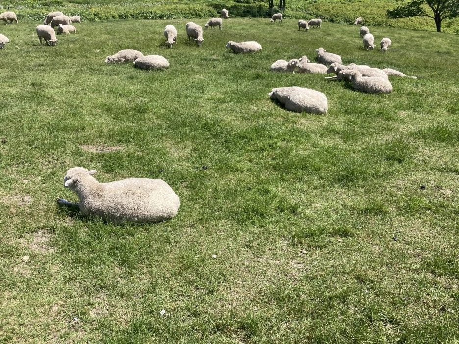 KakaoTalk_20210605_154935367.jpg?type=w1