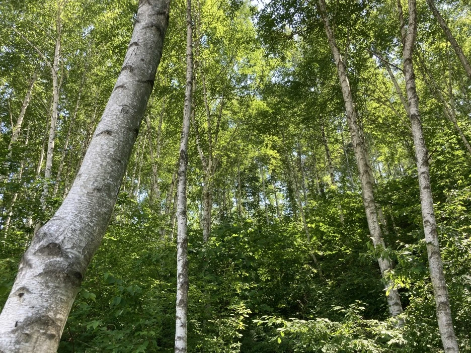 KakaoTalk_20210606_194615719.jpg?type=w1