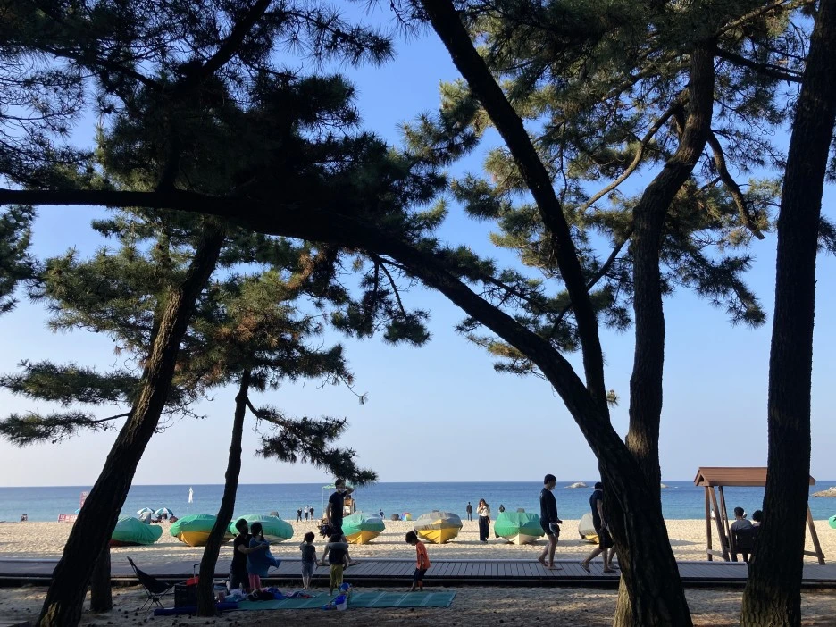 KakaoTalk_20210607_131401061.jpg?type=w1