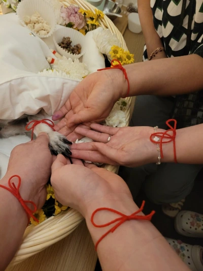 KakaoTalk_20240925_144634798.jpg?type=w773