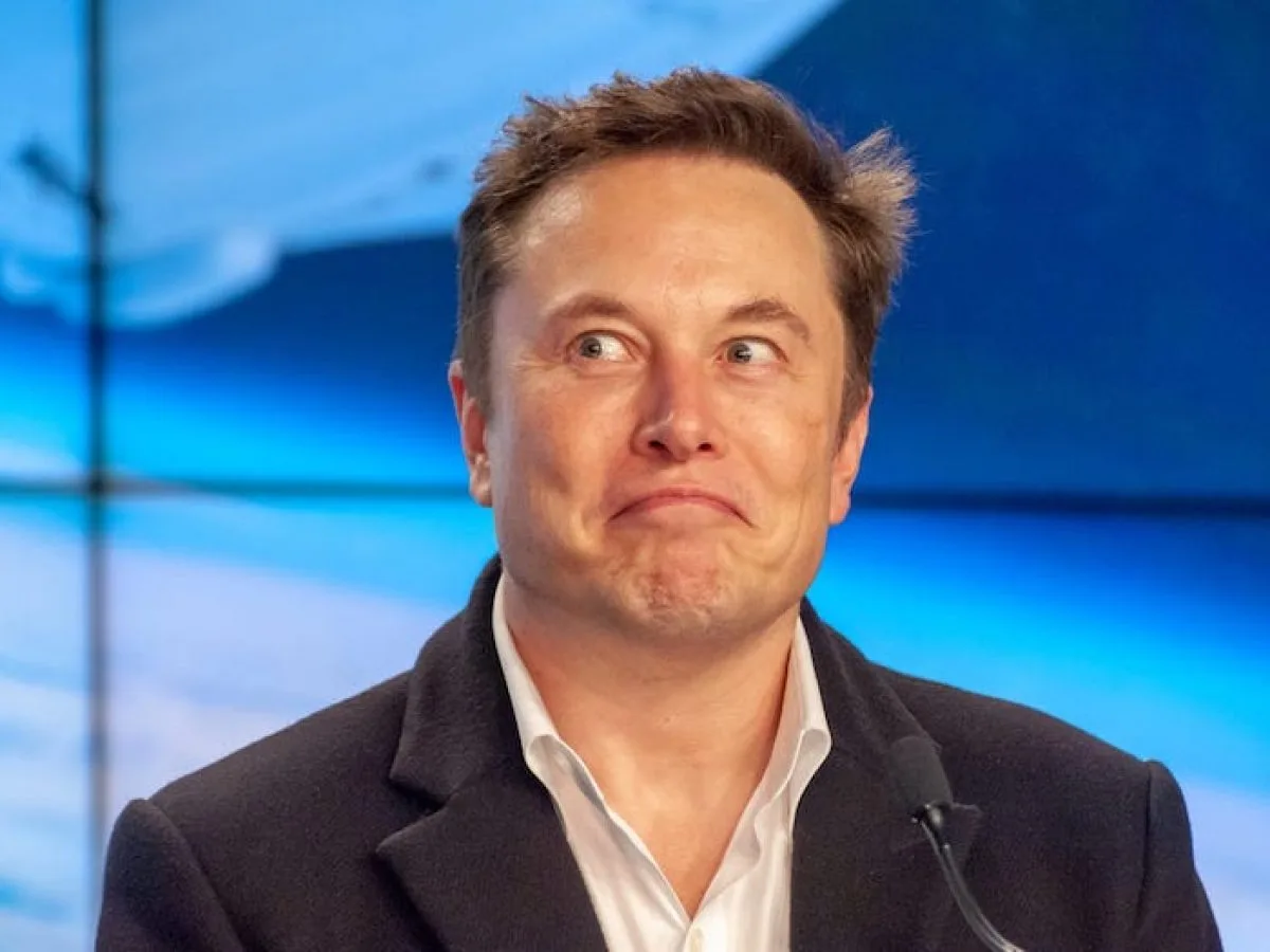 happy elon.jpeg