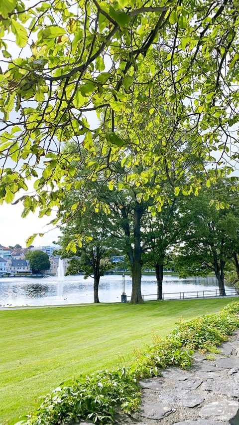 IMG_8571.JPG?type=w1