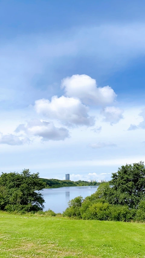 IMG_8595.JPG?type=w1