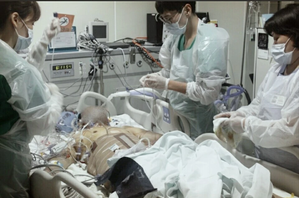 2장 관련 사진들 (1).jpeg