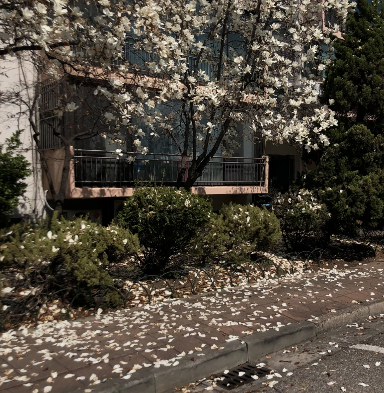 SE-7c22a6fc-5a0f-44f5-8abe-cc35914df5e5.png?type=w773