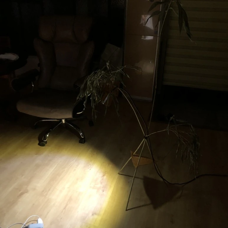 KakaoTalk_20220403_133450038.jpg?type=w773