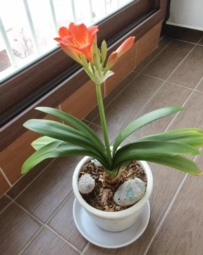 image_2386448111490093895849.jpg?type=w1