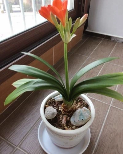 image_6102008171490093895877.jpg?type=w1