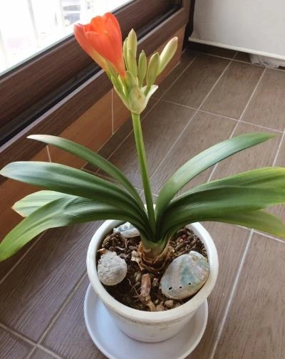 image_9430635611490093895891.jpg?type=w1