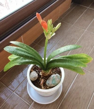 image_6291043351490093895904.jpg?type=w1