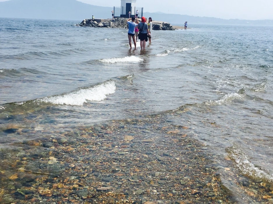 IMG_1938.jpg?type=w1