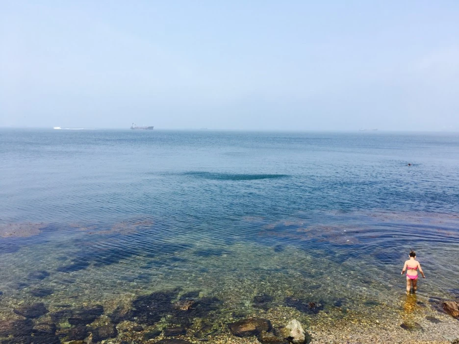 IMG_1905.jpg?type=w1