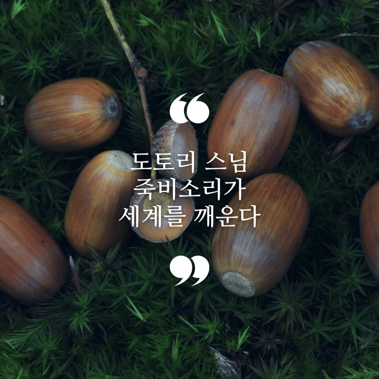 도토리 스님.001.jpeg