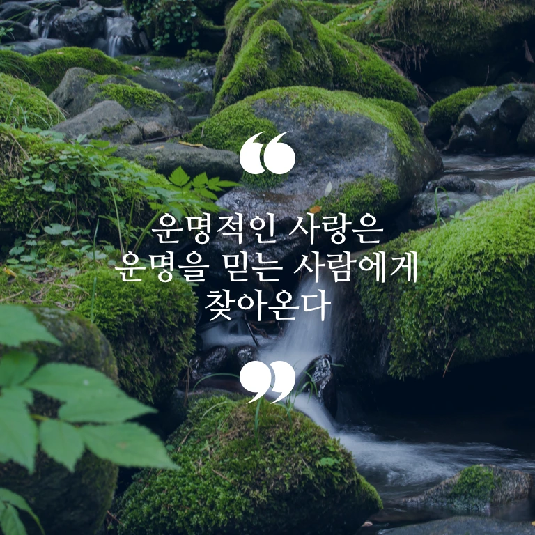 시작-정사각.001.jpeg