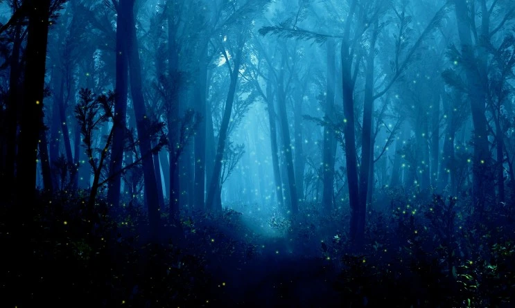 01358_summerwood_1920x1200.jpg?type=w2