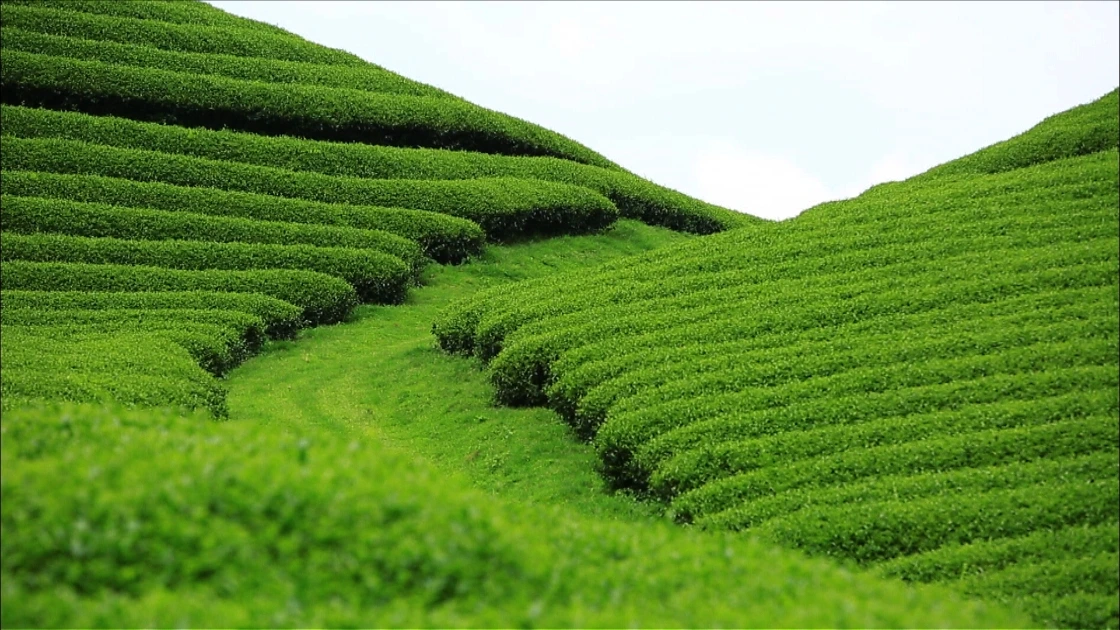 wrtFileImageView.do?wrtSn=13002262&filePath=L2Rpc2sxL25ld2RhdGEvMjAxNi8yMS9DTFM2Lzc4MzA1MWJmLWYxZGMtNGFmMS05YTcxLWYzMmFkNTZmYjMyYQ==&thumbAt=Y&thumbSe=b_tbumb&wrtTy=10006