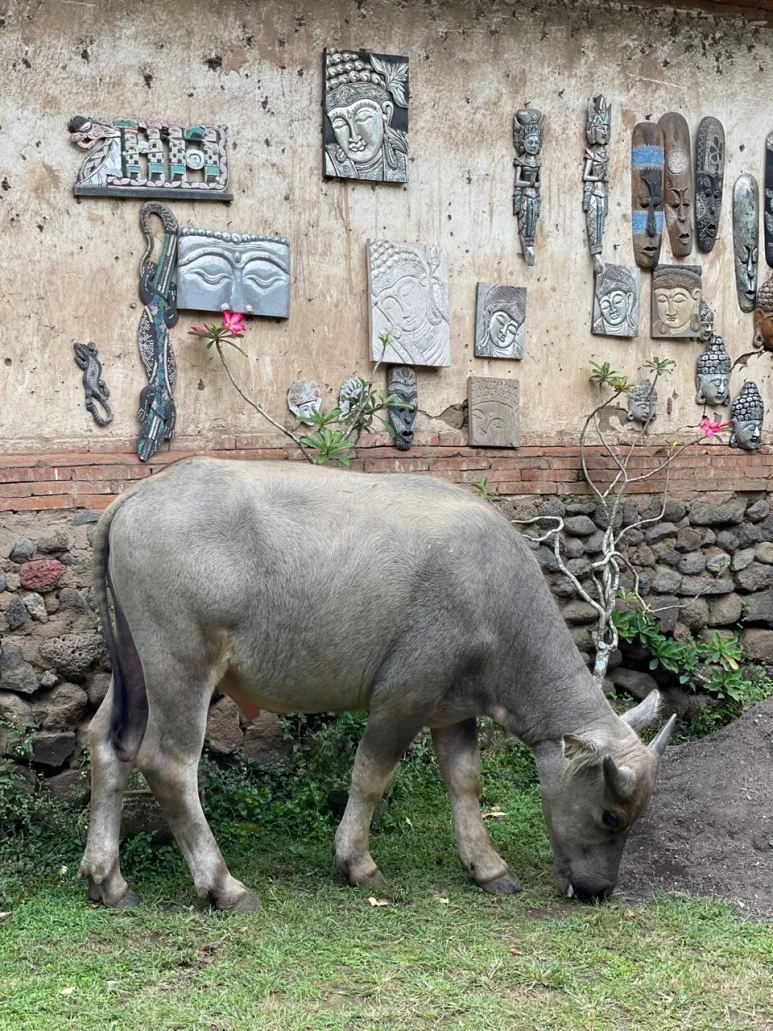 KakaoTalk_20211230_221505450_26.jpg?type=w773