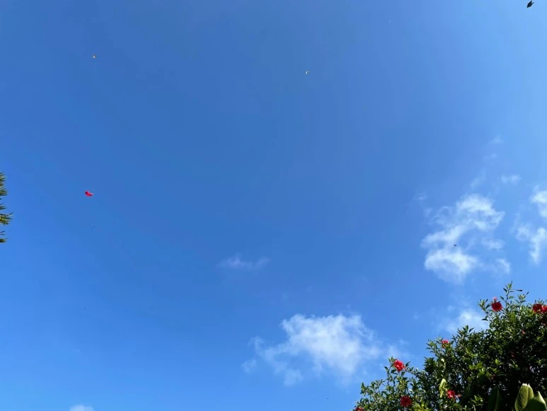 KakaoTalk_20210901_005431818_07.jpg?type=w773