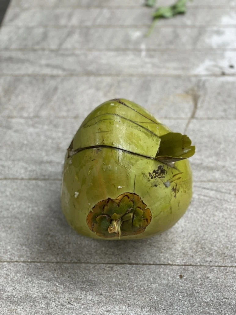 IMG_4947.jpg?type=w773