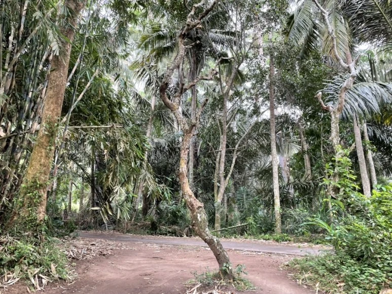 IMG_4915.jpg?type=w773